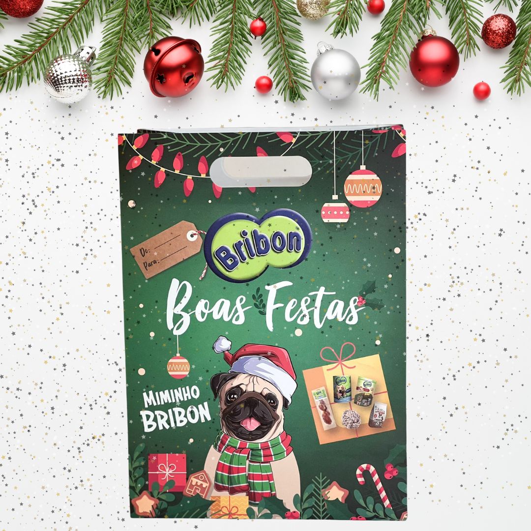 Bribon